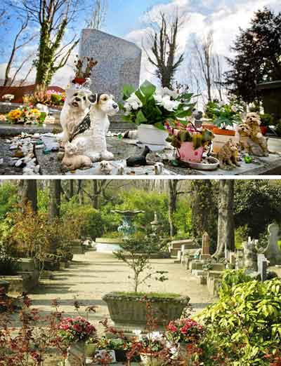 充满温情的法国狗墓地
