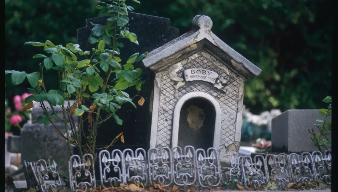 狗狗公墓巴黎漫步——世界最早动物公墓