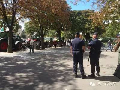 土豆堆在共和广场