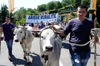 2014年：天然粪肥喷向政府办公室