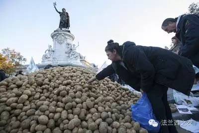 警察局门口迎来大葱