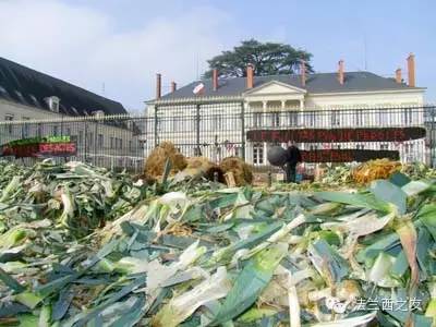 法国农民抗议现场6