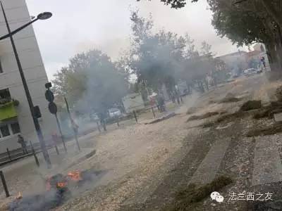 法国农民抗议现场8