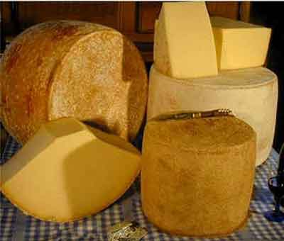 法国硬质未熟奶酪康塔尔与萨雷