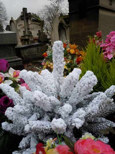 自由、平等、博爱的圣诞节