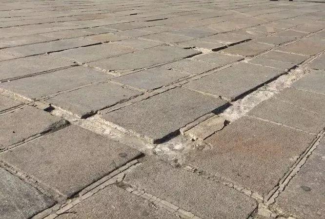 女人也有上断头台的权利！