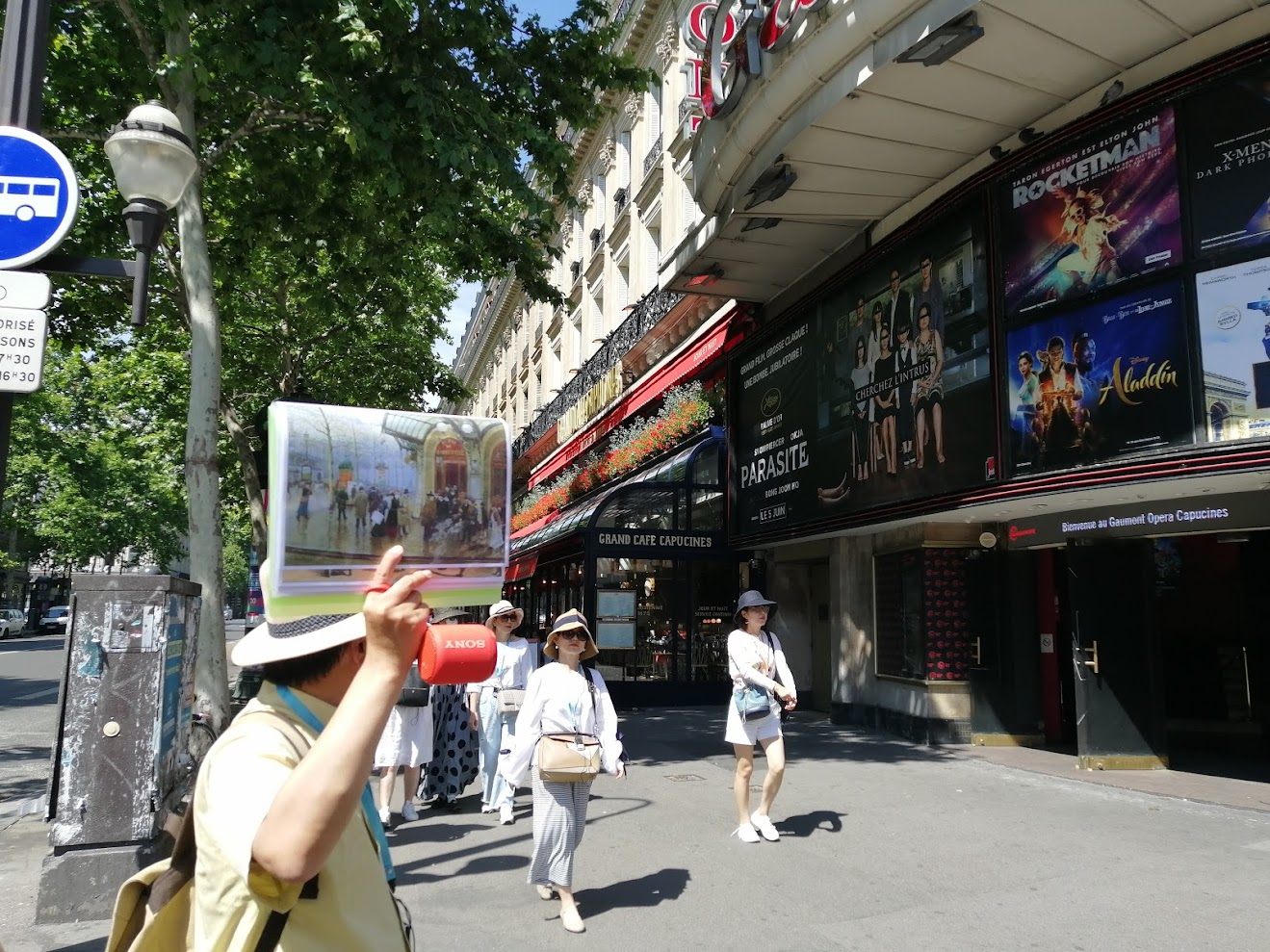 导游带团漫步林荫大道