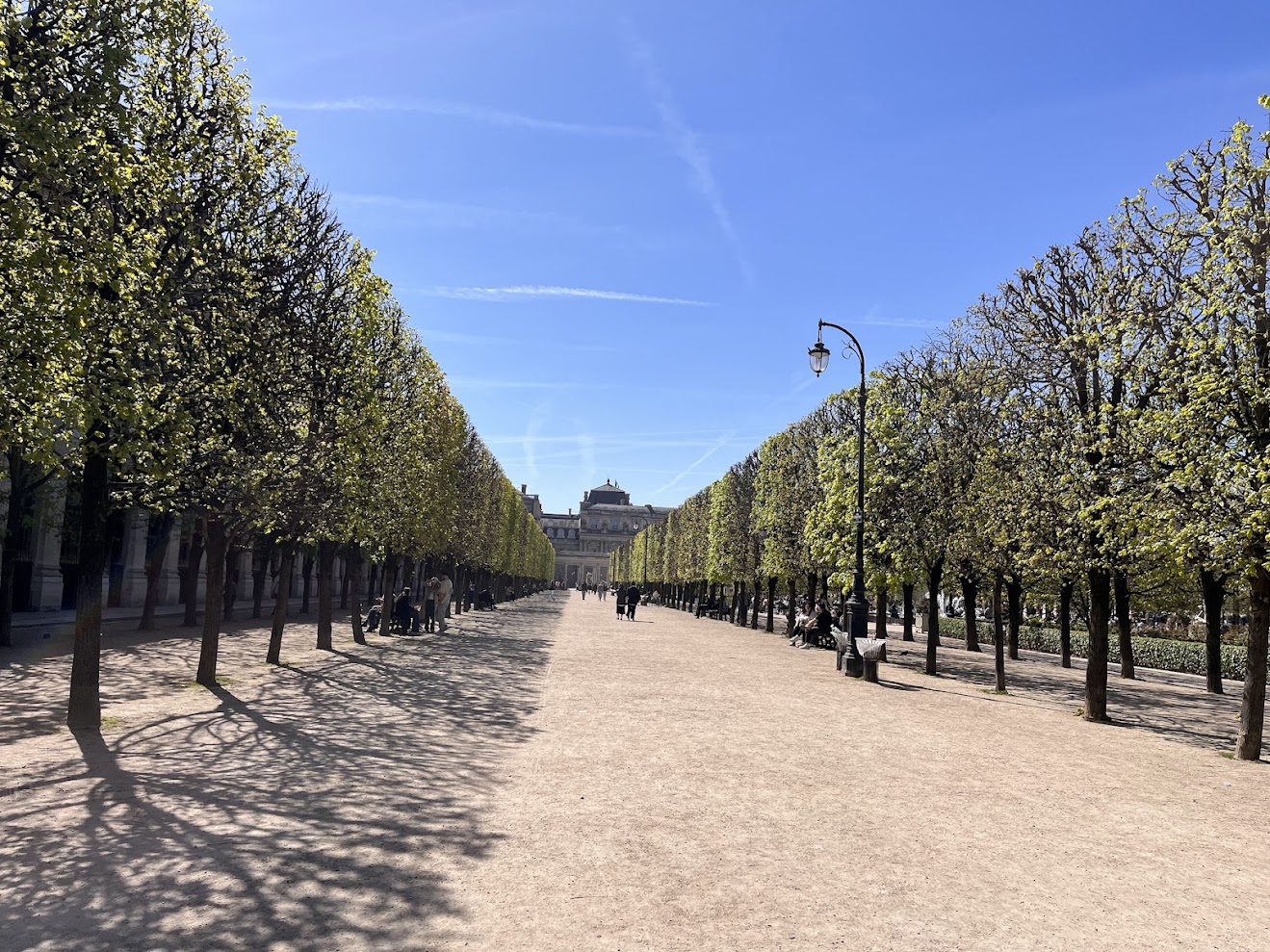 为什么在巴黎找不到罗伯斯庇尔的纪念馆？